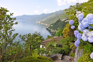 Ferienwohnung Tessin am See Ferienwohnungen Tessin
